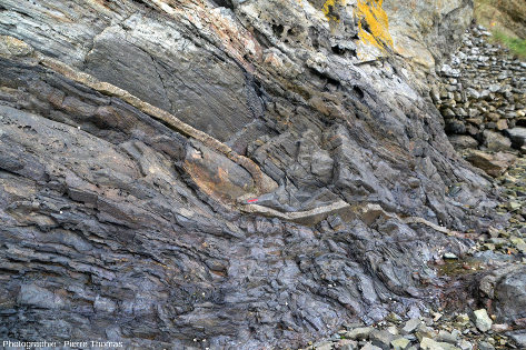Autre vue sur le filon de granite des photos précédentes montrant que ce filon et la schistosité qui le contient sont plissés, plage de Saint-Suliac