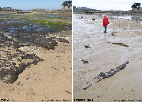 Juxtaposition de deux photographies prises approximativement du même endroit montrant le changement de la couverture sableuse de la plage de l'ile de La Dame Jouanne entre mai 2016 (couverture “maigre”) et octobre 2021 (beaucoup de sable)