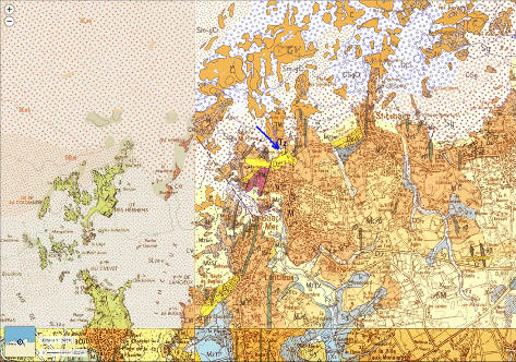 Localisation du banc de tourbe (légendé Tz) de l'ile de La Dame Jouanne (flèche bleue) sur les cartes géologiques à 1/50 000