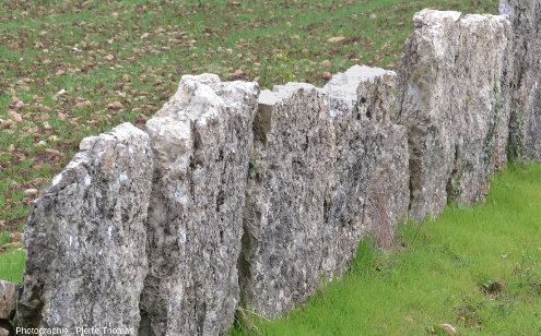 Gros plan sur les dalles calcaires formant une clôture originale, Villebois (Ain)