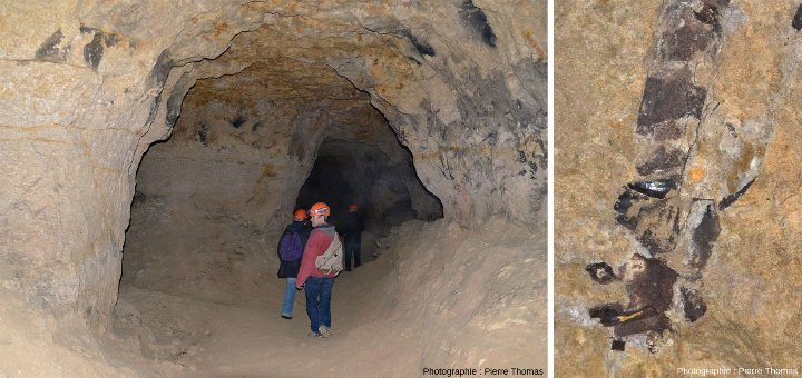 Dans une galerie des anciennes carrières souterraines de la Malogne (Belgique) creusées dans la craie du Maastrichtien (dernier étage du Crétacé, −72,1 à −66Ma)