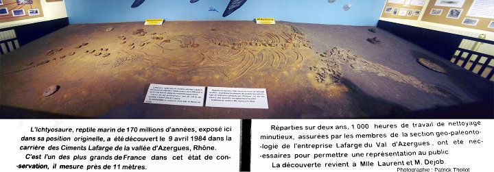 Mosaïque montrant l'ichtyosaure de la carrière de Belmont d'Azergue démonté/transporté/remonté au Musée de la Mine de Saint-Pierre-la-Palud