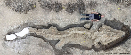Vue aérienne du dégagement et de l'exhumation d'un ichtyosaure quasi-complet découvert au centre de l'Angleterre en février 2021