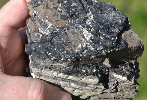 Échantillon stratifié montrant des alternances de lignite et de calcaire, bassin houiller de Fuveau-Gardanne (Bouches-du-Rhône)