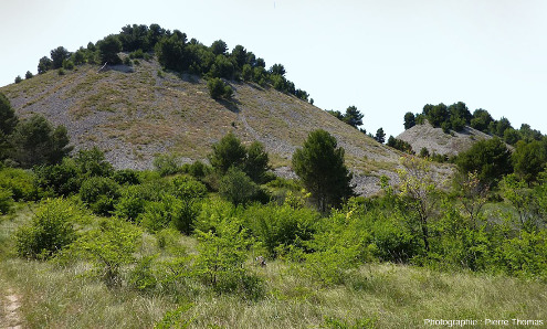 Vue sur le côté Est des deux terrils, dits terrils de Biver ou terrils de Molx, situés à cheval sur les communes de Gardanne et de Simiane-Collongue, Bouches du-Rhône