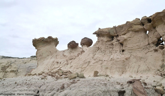 Paysage caractéristique du parc d'Ischigualasto avec un banc de grès mis en saillie par l'érosion surmontant des sables moins indurés