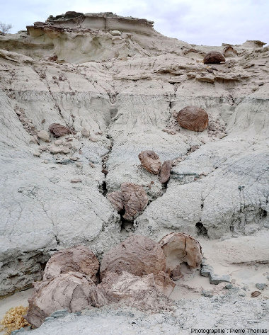 L'érosion peut dégager ces boules et autres concrétions non sphériques des grès sableux peu consolidés où elles ont pris naissance