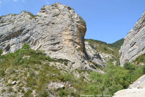 Falaises calcaires (du Crétacé basal et du Jurassique supérieur) dominant les gorges du Grand Béal, à 400 m au Nord du village d'Orpierre (Hautes Alpes)