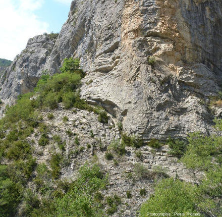 Vue rapprochée sur un secteur abondamment plissé des falaises d'Orpierre (Hautes-Alpes)