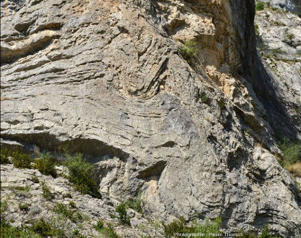 Détail sur un secteur abondamment plissé des falaises d'Orpierre (Hautes-Alpes)