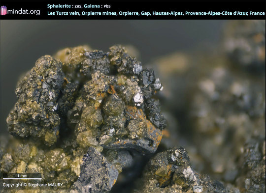Détail d'un échantillon de galène (grise) et de sphalérite (jaunâtre) provenant d'une autre mine du même secteur (mine des Turcs), Orpierre (Hautes-Alpes)