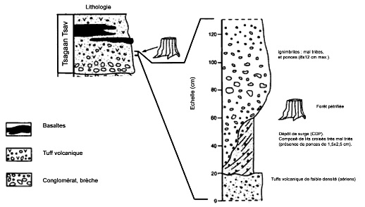 Coupe lithologique simplifiée des dépôts de la formation Tsagaan Tsav, contenant l'écoulement pyroclastique de la forêt pétrifiée de Suihent (Mongolie)