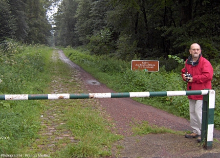 La "trouée de Wallers-Arenberg” (partie “Drève des Boules d'Hérin), en dehors des journées de course