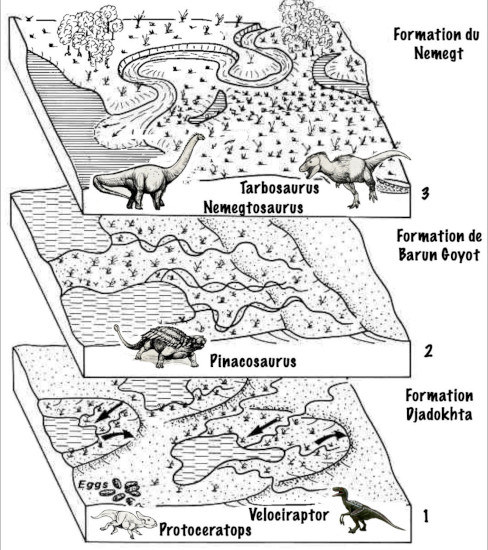 Succession de blocs de diagrammes schématiques montrant l'évolution de l'environnement pendant le dépôt des principales formations à dinosaures du bassin de Gobi