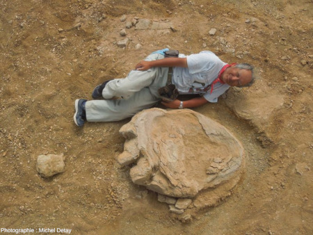 Le paléontologue Shinobu Ishigaki posant à côté de l'empreinte du fossile de titanosaure récemment découvert dans le désert de Gobi, à proximité de Khermen Shav