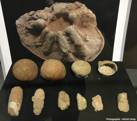 Œufs de dinosaures découverts en 1973, provenant de Khermen Tsav, Mongolie
