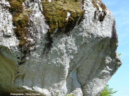 Détail de la Pierre à Dzo, montrant sa nature granitique, Monthey, Suisse