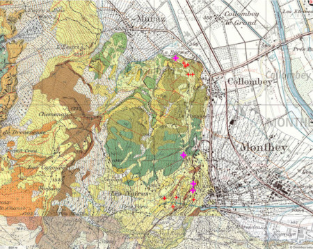 Extrait de carte géologique montrant la localisation des blocs erratiques (croix rouge) du secteur de Monthey (Valais, Suisse)