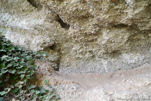 Détail de la partie supérieure de la figure 10, affleurement de terrain glaciaire, Jons (Rhône)