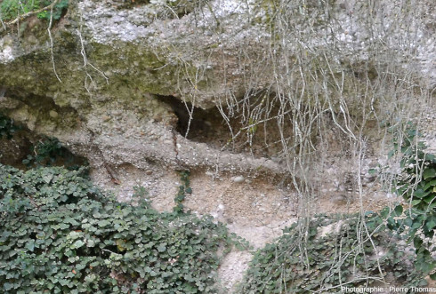 Détail de la partie Est (gauche) de la figure 9, affleurement de terrain glaciaire, Jons (Rhône)