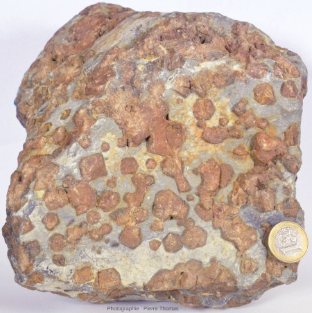 Échantillon de skarn (cornéenne issue du métamorphisme d'un banc carbonaté) riche en gros grenats grossulaires
