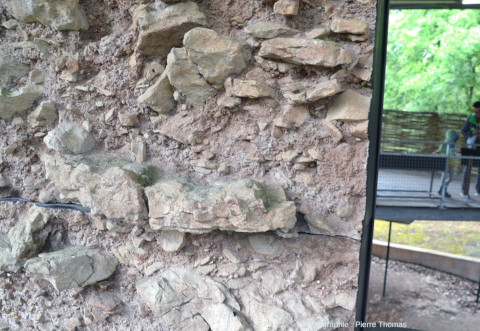 Vue sur un moulage de dépôts mal consolidés faits d'argile, de sable, de gravier, de galets… incluant une dent de mammifère (rongeur probable), Archéosite des Fieux (Miers, Lot)