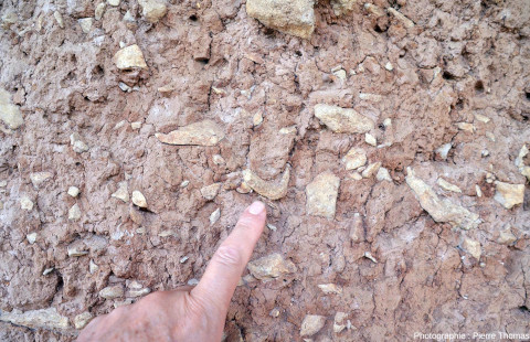 Gros plan sur le fragment d'os long localisé sur le panneau explicatif du moulage C, Archéosite des Fieux