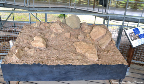 Moulage d'une surface horizontale (sol préhistorique) dégagée lors de fouilles (moulage 3 de la figure 6), Archéosite des Fieux (Miers, Lot)