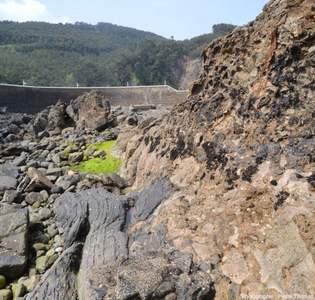 Détail du contact entre les sédiments pélitiques sombres et les basaltes (ici des brèches basaltiques) jaunâtres, Armitza, Pays basque espagnol