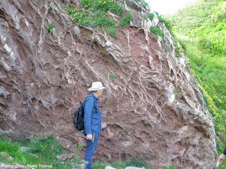 Gros plan sur la masse rose argilo-évaporitique de la figure précédente, Bakio (Pays basque espagnol)