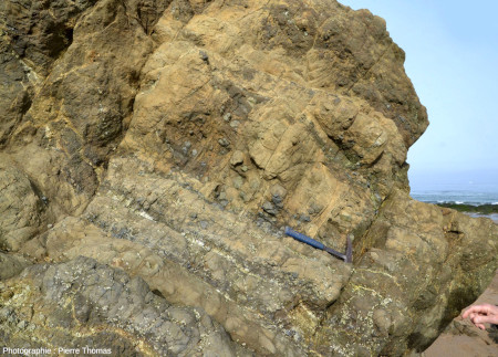 Gros plan sur les basaltes triasiques (les fameuses ophites pyrénéennes), parfois massifs, souvent altérés en boules, de la baie de Bakio (Pays basque espagnol)