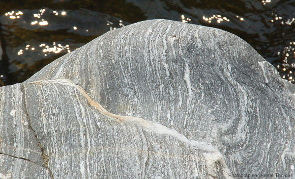 Gros plan sur un gneiss affleurant sur le bord du Doux, torrent ardéchois de la région de Tournon, juste en amont de la centrale hydroélectrique de Mordane