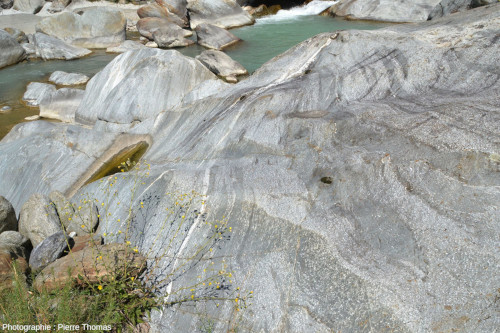 Autre affleurement de métagranite du même secteur du bord du Lys montrant une orientation et une anisotropie très nette de la roche