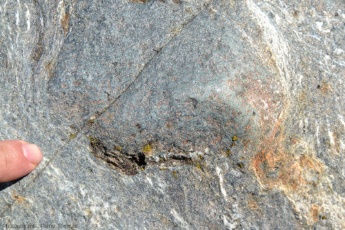 Détail d'une enclave basique quasiment non déformée dans un métagranite du bord du Lys, Fontainemore (Val d'Aoste, Italie)