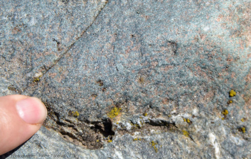Détail d'une enclave basique quasiment non déformée dans un métagranite du bord du Lys, Fontainemore (Val d'Aoste, Italie)