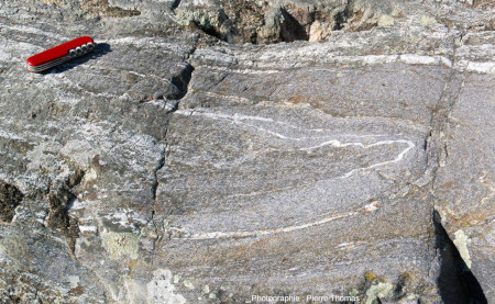 Détail de la zone à peine fondue (relique ?) où un pli est encore parfaitement visible, migmatite de la passerelle de Baysan (Pont-de-Labeaume, Ardèche)