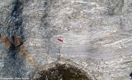 Déformation de la schistosité de la migmatite, schistosité qui devient alors sigmoïde, par des décrochements sénestres tardifs, passerelle de Baysan (Pont-de-Labeaume, Ardèche)