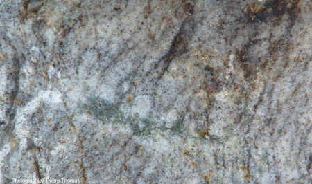 Vue de détail d'une autre “cocarde” formée d'un cœur de cordiérite (verte) et d'une périphérie sans biotite et très riche en feldspath potassique, passerelle de Baysan (Ardèche)