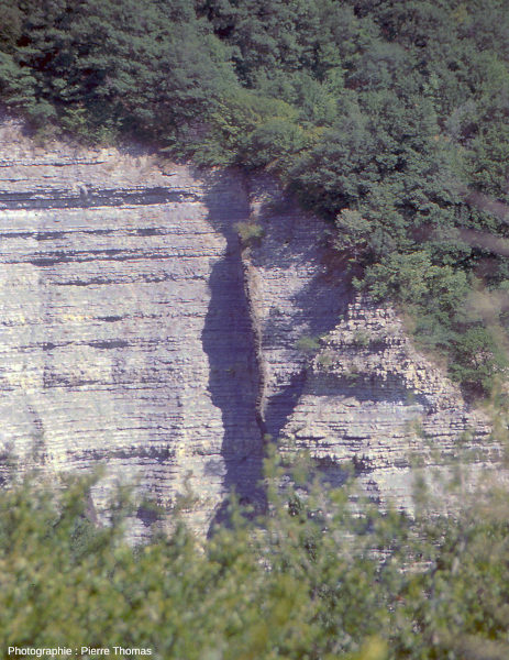 Zoom sur un dyke basaltique du Coiron recoupant des marno-calcaires cénozoïques, Aubignas (Ardèche)