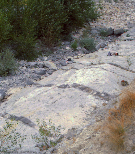 Dalle calcaire sub-horizontale traversée de dykes de basalte, Lamothe (Ardèche)