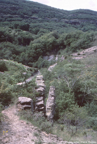 Un dyke de basalte dégagé par l'érosion et vu par la tranche aux environs d'Allignols (Ardèche)