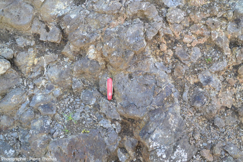 Affleurement de basalte très vacuolaire, coulée de Mirabel (Ardèche)