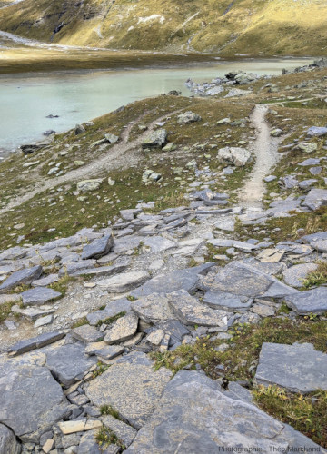 Schistes bioturbés débités en dalles au bord (rive Est) du Lac Blanc, Pralognan-la-Vanoise (Savoie)