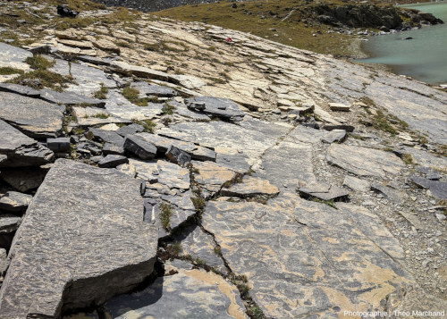 Schistes bioturbés débités en dalles au bord du Lac Blanc, Pralognan-la-Vanoise (Savoie)