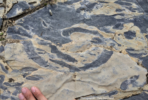 Vue rapprochée d'un ichnofossile de bioturbation, Lac Blanc, Pralognan-la-Vanoise (Savoie)