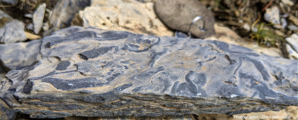 Dalle à ichnofossiles de bioturbation avec vue par la tranche, Lac Blanc, Pralognan-la-Vanoise (Savoie)