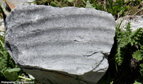 Bloc (quartzite ?) à figures rappelant fortement des ripple-marks, Lac Blanc, Pralognan-la-Vanoise (Savoie)