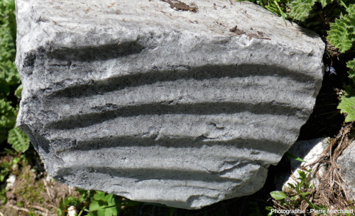 Bloc (quartzite ?) à figures rappelant fortement des ripple-marks, Lac Blanc, Pralognan-la-Vanoise (Savoie)