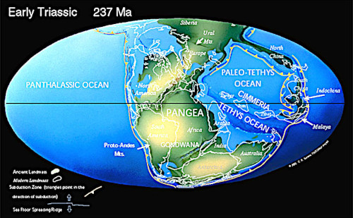 Reconstitution des continents au Trias inférieur, à l'époque où les structures décrites se sont formées
