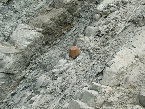 Un « clou d'or », en fait un piton de bronze (ou d'un autre métal inoxydable), planté au niveau de la limite des strates du Thanétien (à gauche) et du Sélandien (à droite), un des deux GSSP de Zumaia (Pays basque espagnol)